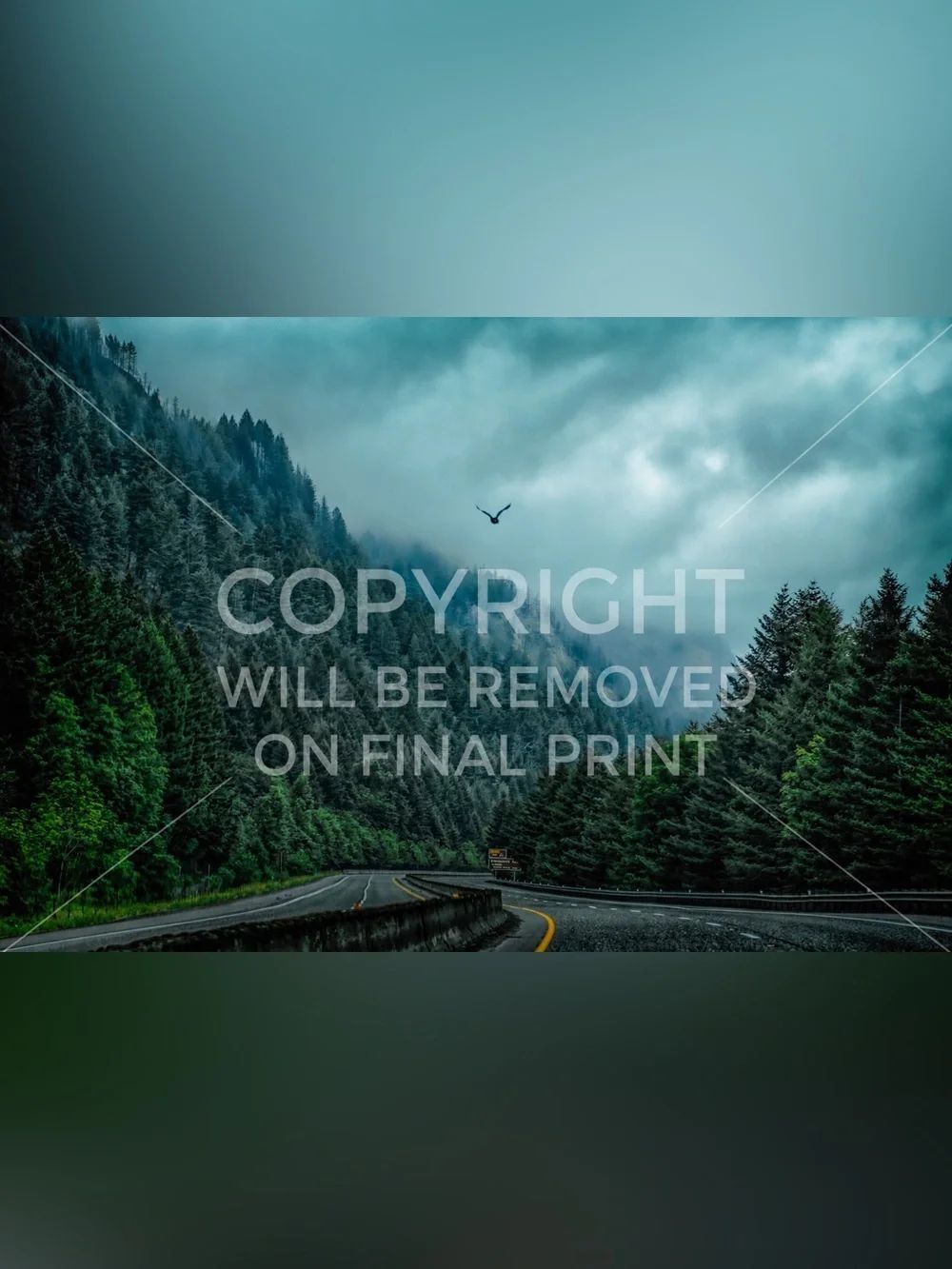 Washington Forest Highway Wall Art Print - Scenic Nature Photography-8x10
